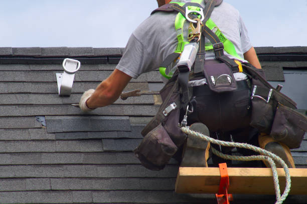 Best Solar Panel Roofing Installation  in Homeland, GA