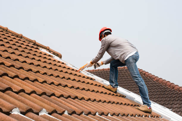 Best Roof Insulation Installation  in Homeland, GA