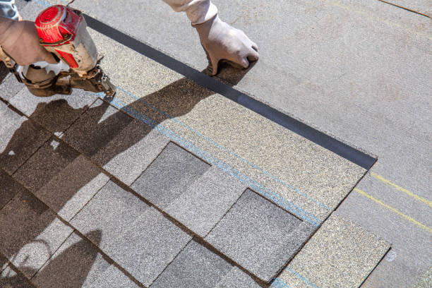 Best Roof Coating and Sealing  in Homeland, GA